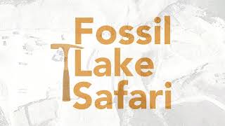 Fossil Lake Safari Quarry Fly in [upl. by Stelu]