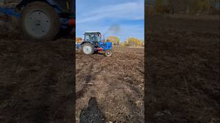 Mtz belarus drift [upl. by Luanne567]