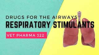 VET PHARMA 2  Drugs for Airway Disorders Respiratory Stimulants  Module 209 Student Output [upl. by Mariel]