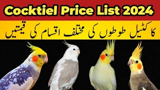 All cockatiel Parrot Latest prices 2024 cockatiels [upl. by Atirres817]