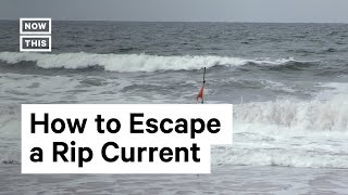 How to Escape If Youre Caught in a Rip Current [upl. by Otreblig]