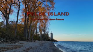 Pelee Island Lighthouse Nature Reserve [upl. by Priebe672]