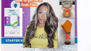 ZEVO FLYING INSECT TRAP REVIEW  Bug Catcher Unboxing Review  How to get rid of fruit flies [upl. by Tonjes]