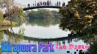 Ibirapuera Park São Paulo Brazil [upl. by Nawotna]