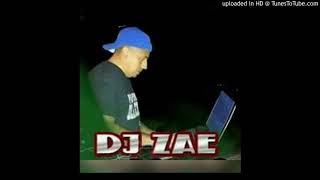 dj zae old school tejano mix [upl. by Areval]