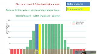 Bruto en netto productie bij planten [upl. by Alyse]