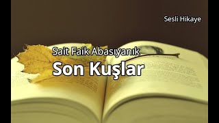 Son KuşlarSait Faik Abasıyanık Sesli HikayeYüksek Ses Kalitesi [upl. by Ynavoj]