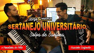 SOLOS DE SANFONA  SERTANEJO UNIVERSITÁRIO [upl. by Korman65]