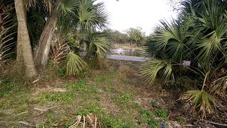 View of Billys Creek at Billy Bowlegs Fort Myers Florida 4 Lakes [upl. by Nuhsed]