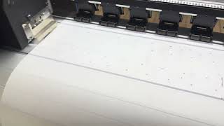 PrintExp Step Alignment Remove Banding and Get Printing Size Correct [upl. by Eimar2]