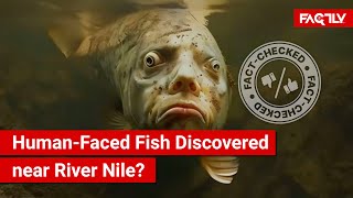 FACT CHECK Viral Video Shows HumanFaced Fish Discovered in Lake Samsara near River Nile [upl. by Ettie]