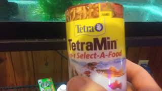 Tetra TetraMin 3 in 1 Select a Food Product Review [upl. by My]