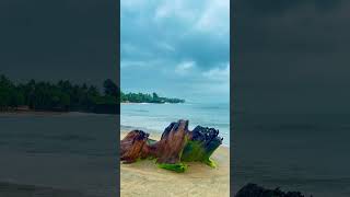 seashore music is so incredibly awesome munambam beach travel viralvideo nature kerala sea [upl. by Otrebire]