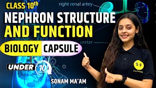 Nephron structure and function Biology Capsule  CBSE Class 10 Topic Under 10 Minute by Sonam Maam [upl. by Maryellen]