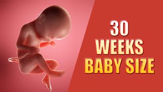 30 Weeks Pregnant Baby Position – Baby Moving and Weight in Size [upl. by Murial]