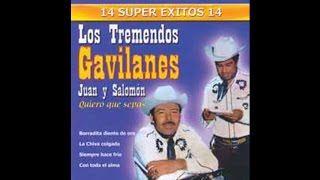 Los Tremendos Gavilanes  Miel Amarga [upl. by Selma]