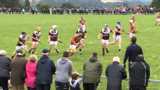 Wexford GAA TV I U21 Wexford Premier Hurling final from 2014 [upl. by Shanley]