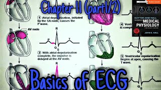 ECG basics  Chapter 11 part 1  Guyton and Hall text book of physiology [upl. by Atteuqram]