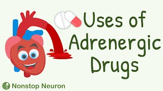 Uses of Adrenergic Drugs  Sympathomimetic Drugs Pharmacology  Adrenaline Noradrenaline etc [upl. by Euginomod529]