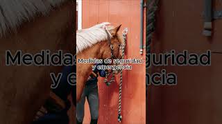 🐴🌟 ¿Sabías que puedes ayudar a otros con caballos ¡Conviértete en Instructor de Equinoterapia 💪 [upl. by Ennairb]