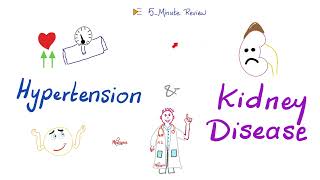 Hypertension amp Kidney Disease  Renovascular Hypertension vs Hypertensive Nephropathy [upl. by Jorry]