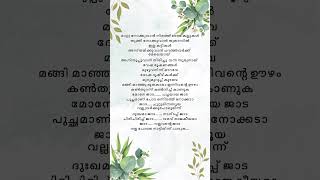 jadasonglyricsmalayalamtrandingshortsNidhalyrics [upl. by Kcirrez]