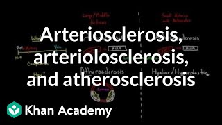 Arteriosclerosis arteriolosclerosis and atherosclerosis  Health amp Medicine  Khan Academy [upl. by Asiret]