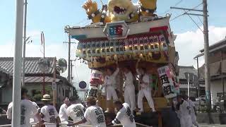 2024 八幡津島神社祭典（川尻）千秋楽 西組 お渡り中 曲がる [upl. by Kakalina130]