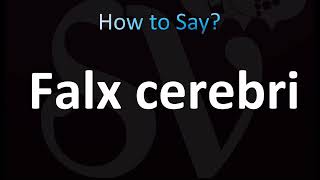 How to Pronounce Falx cerebri CORRECTLY [upl. by Adele]