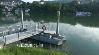 Fischen in der Schweiz  Rheinrevier 7 Mündung Aare bis Leibstadt [upl. by Nedyrb]