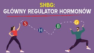 SHBG Główny regulator hormonów — co obniża a co zwiększa jego poziom [upl. by Pace]