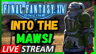 The Warriors Journey Continues Final Fantasy 14 Livestream [upl. by Estas726]