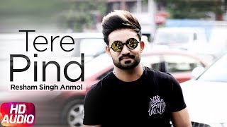 Tere Pind  Full Audio Song  Resham Singh Anmol  Sara Gurpal  Jashan Nanarh  Speed Records [upl. by Esiole]