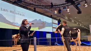 EUROTIER Präsentation Holstein mit Gregor Schaubmaier und Stefanie Zottl [upl. by Itnavart]