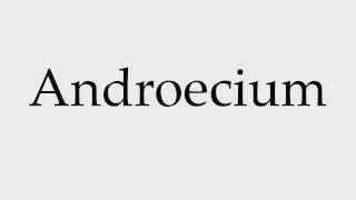 How to Pronounce Androecium [upl. by Oliana]