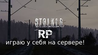 DAYZ STALKER RP на собственном сервере [upl. by Ewell]