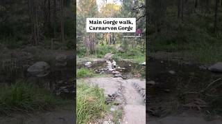 The sounds of Carnarvon Gorge 💚 carnarvongorge queensland nature [upl. by Alexandr]