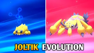 How To Evolve Joltik Into Galvantula In Pokemon Sword amp Shield  Galar Pokedex [upl. by Eddi464]