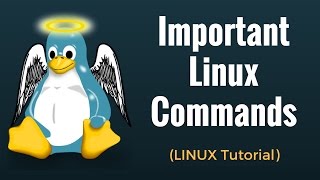 Important Linux Commands for Beginners Linux Tutorial [upl. by Pryce]