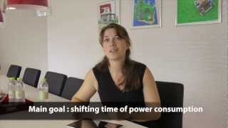 Ecogrid Bornholm  Introduction To Smart Grid Energy Technology [upl. by Salomo]