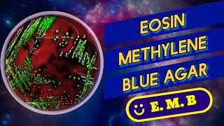 Eosin methylene blue agar  EMB agar [upl. by Eenert]