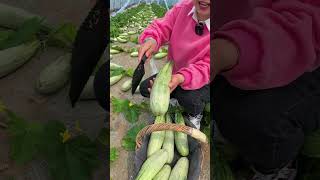 Beautiful Nature  Fresh Fruit Farm shorts shortvideo PS008 [upl. by Nahta]