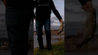 Catching Largemouth Bass from the Rocky Shores of Lake Conroe Part 1 [upl. by Ojeibbob]