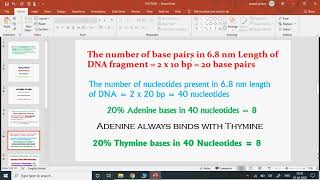 DNA calculation [upl. by Devi]