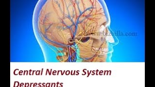 Central Nervous System Depressants [upl. by Harbed]