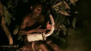 Baka Pygmy traditional song  Chant traditionnel Pygmée Baka [upl. by Bunde]