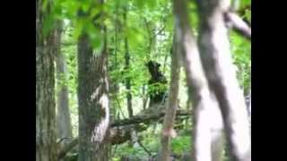 Creepy Figure in Tennessee Woods [upl. by Yve878]