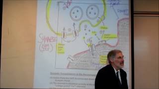 PHYSIOLOGY THE NEUROMUSCULAR JUNCTION by Professor Fink [upl. by Atsev]