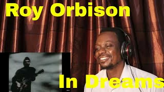 Roy Orbison  In Dreams  REACTION [upl. by Neelhtakyram]