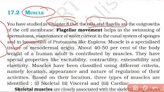 Locomotion And Movement Class 11 NCERT Line to Line Explanation  Lecture  2 [upl. by Alexis314]